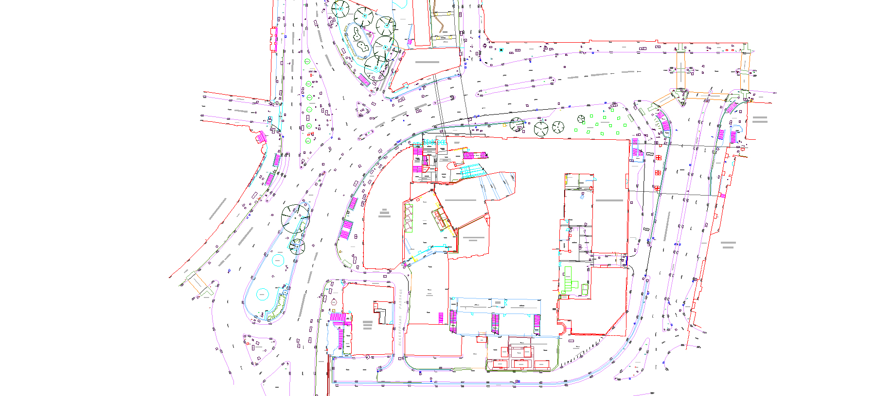 Topographical Survey CAD Drawing